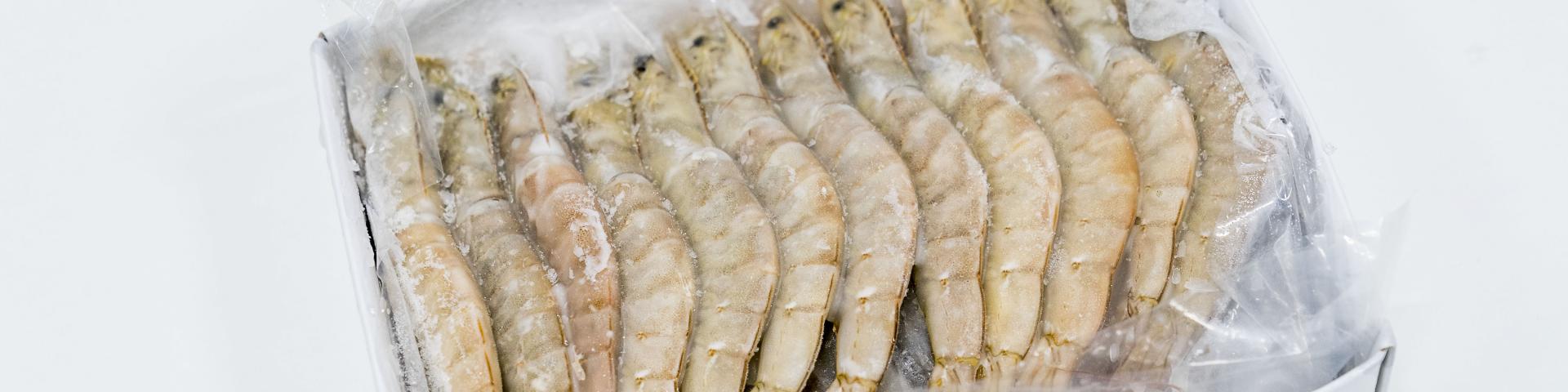 Frozen white shrimp
