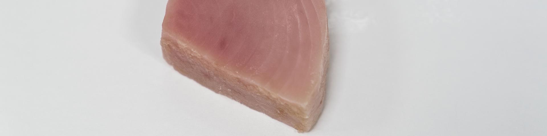 Tuna1