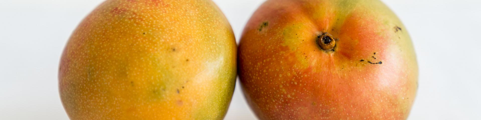 mango1