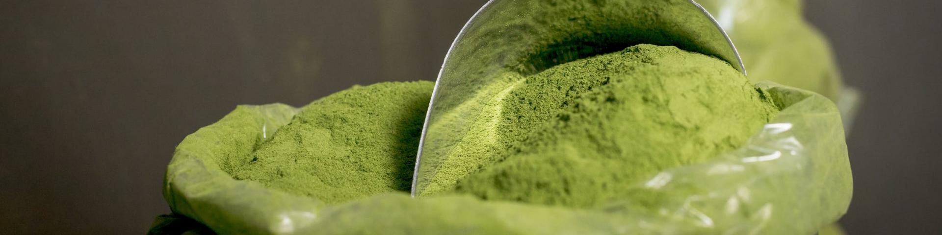 Moringa