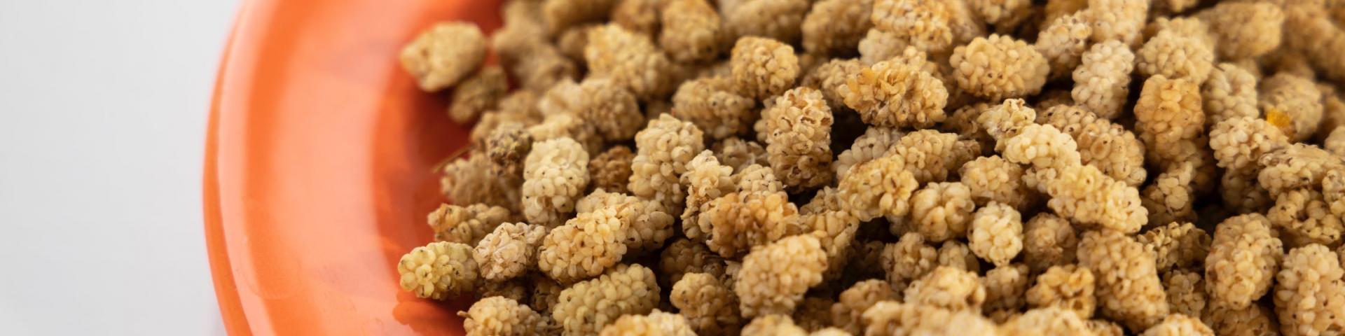 White mulberries dried 1