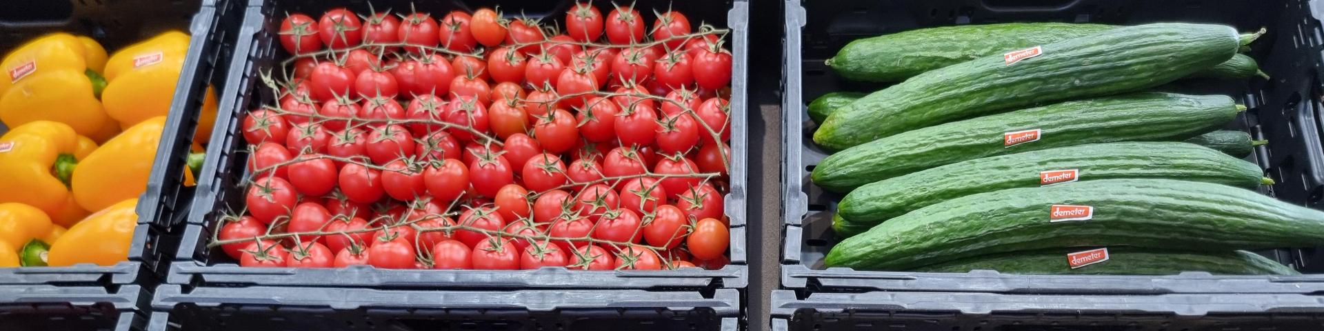 Paprikas, tomatoes and cucumbers stocked in black crates