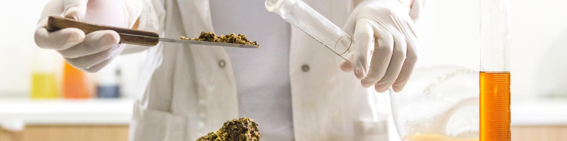 Person in a laboratory coat adding organic matter to a vial