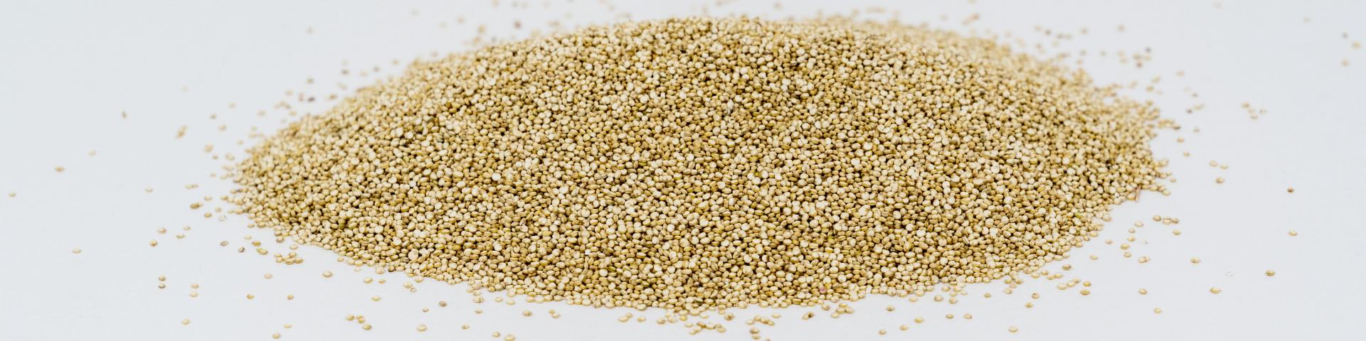 Quinoa1