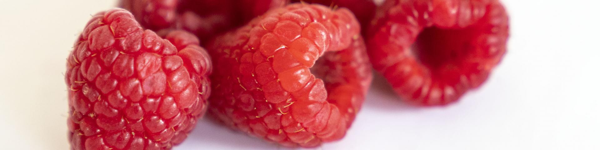 berries1