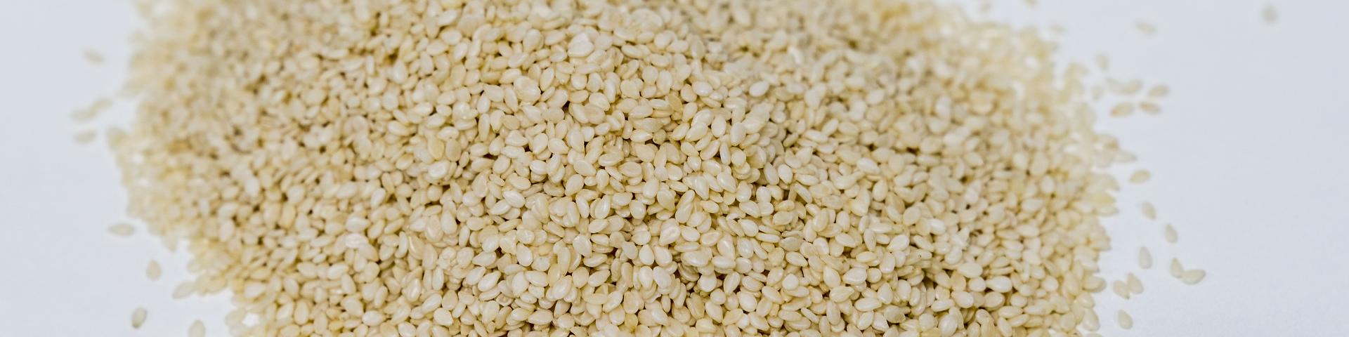 Entering the European market for sesame seeds