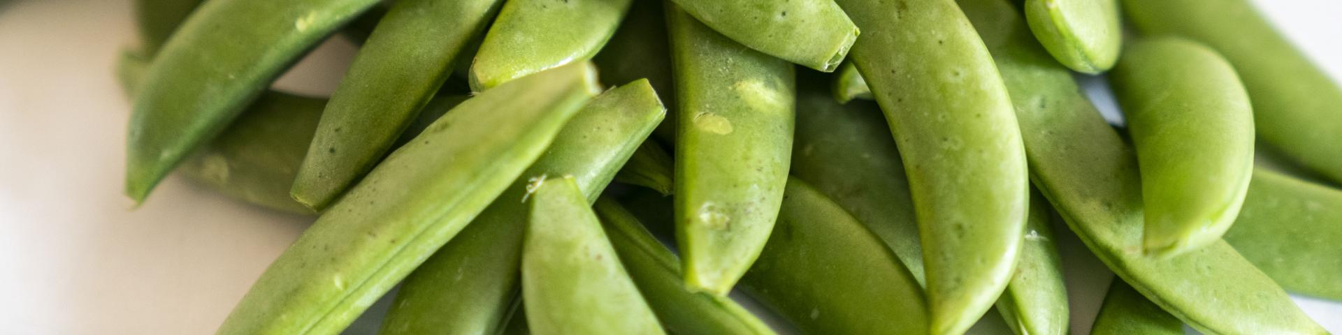 sugarsnap1