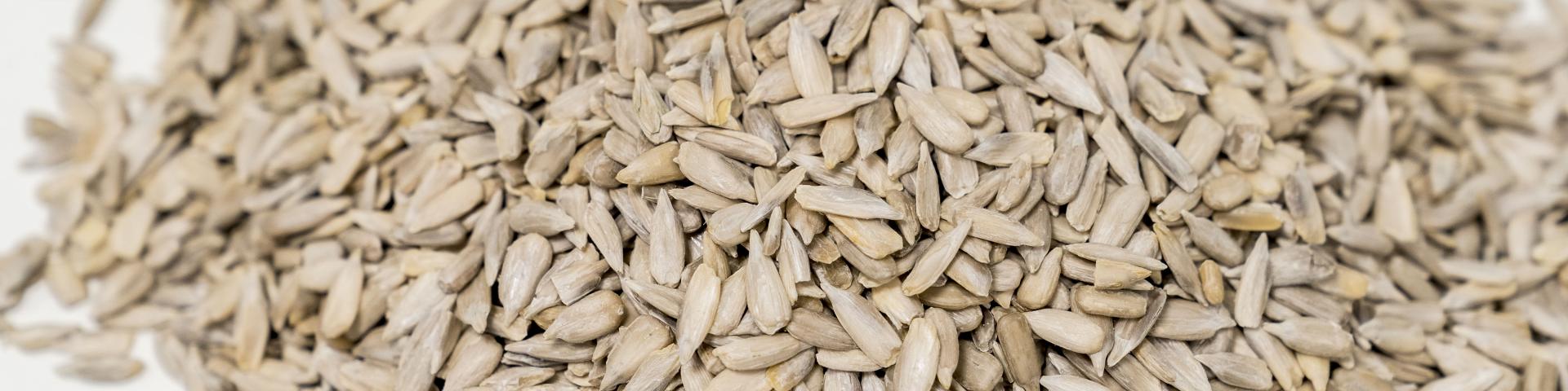 Sunflower seeds