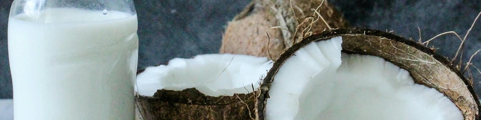 The European market potential for coconut milk - CBI Market Information