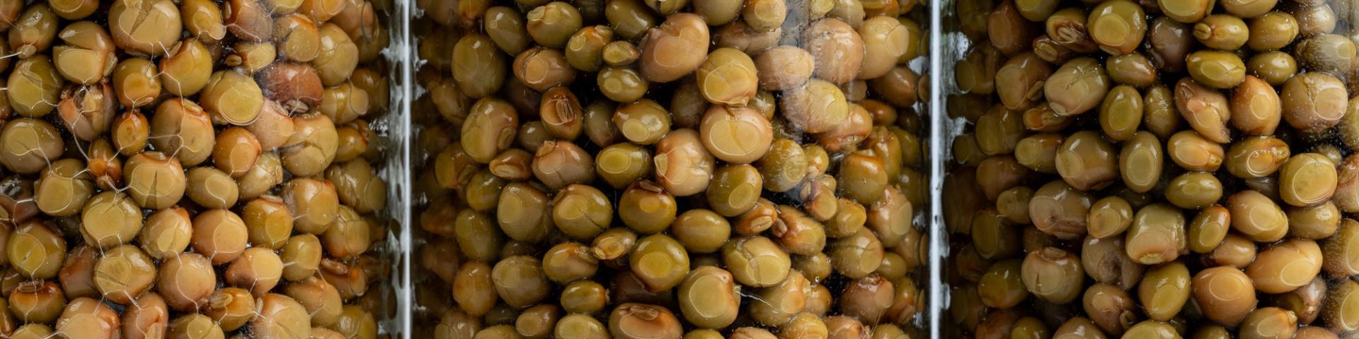 Three glass jars filled with pigeon peas