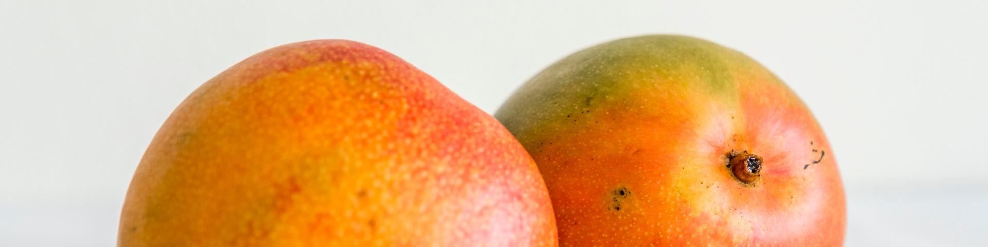 Two fresh mangoes against a white background