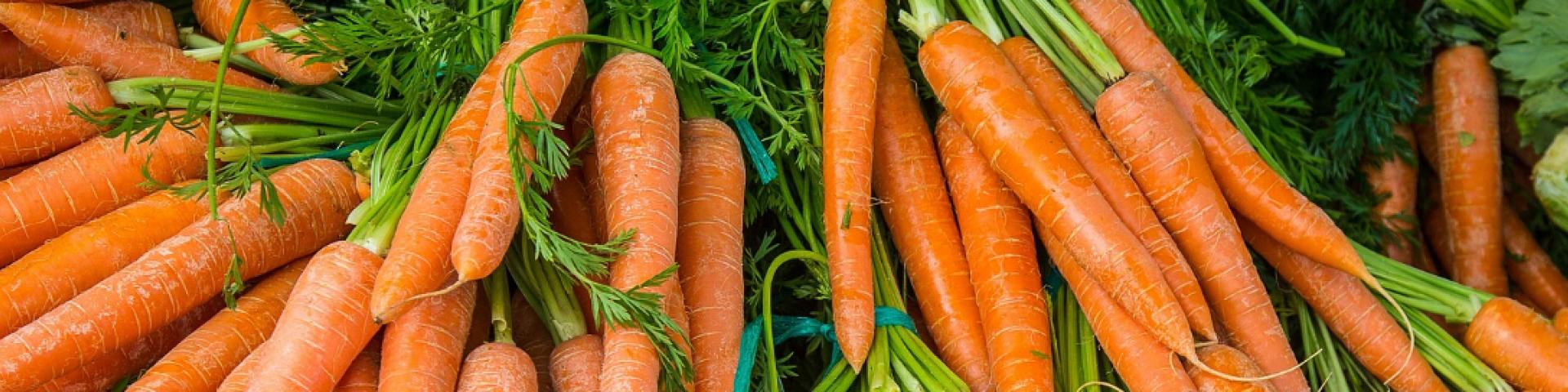 carrot-2309814_1920 Th G via Pixabay.jpg