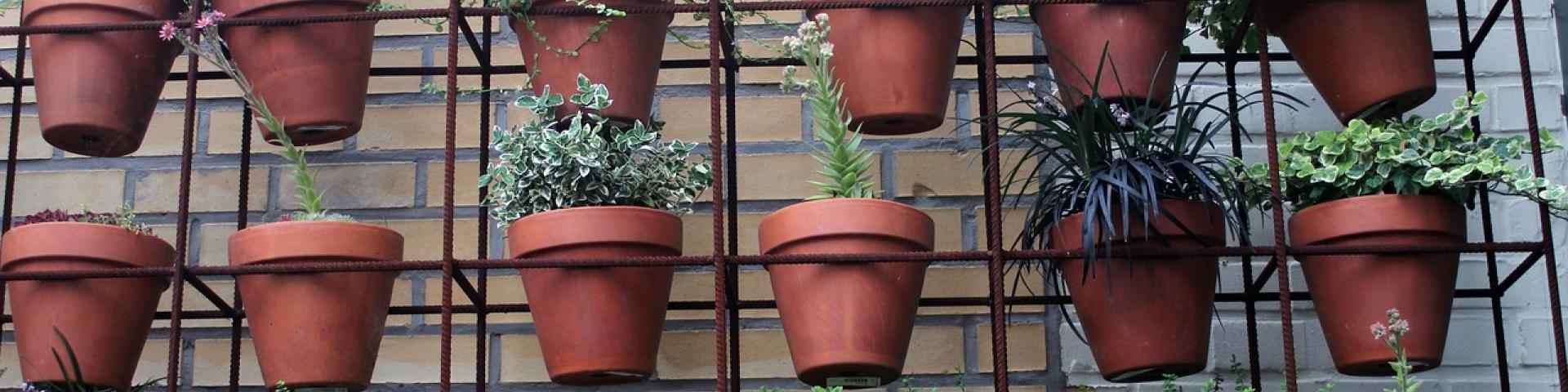garden pots3.jpg
