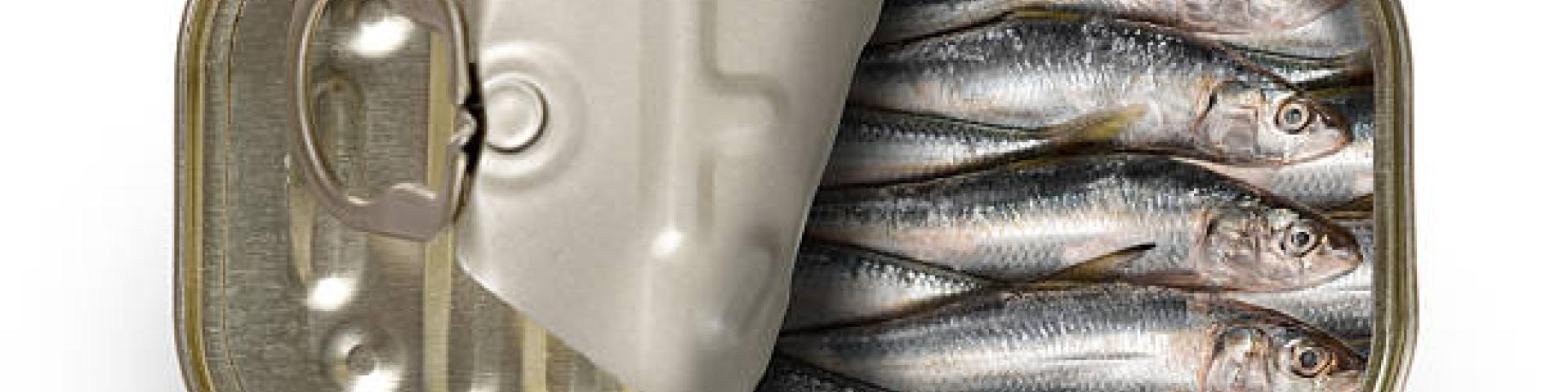 How long can a opened can of sardines last unrefrigerated while