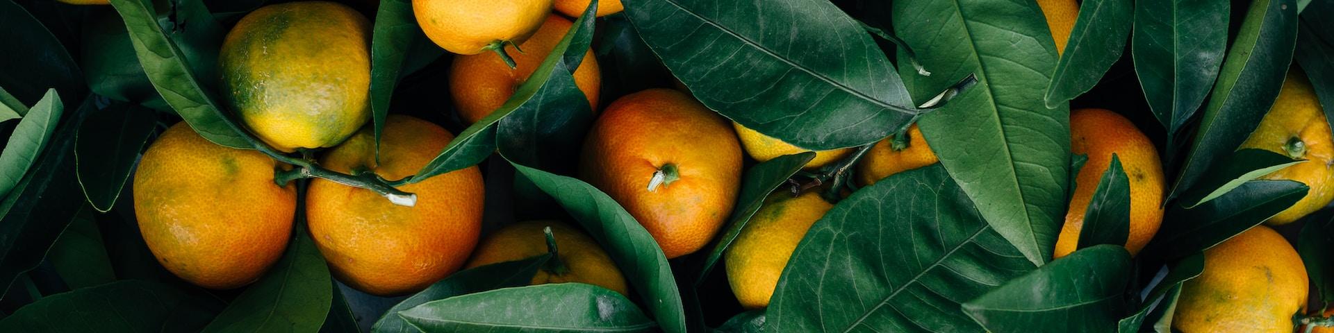 mandarins_banner2_erol-ahmed-_MYcIi9DgYQ-unsplash