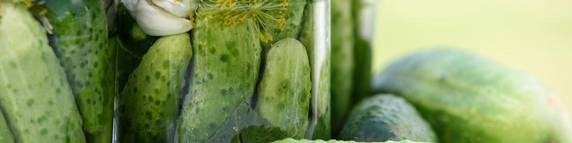 pickled-cucumbers