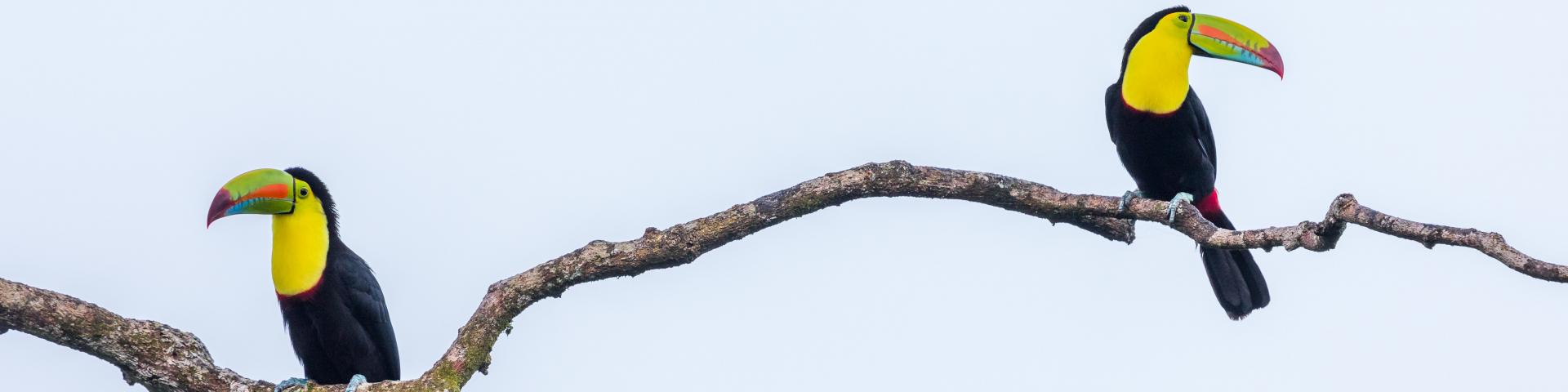 zdenek-machacek-EtxsgEcHnZg-unsplash