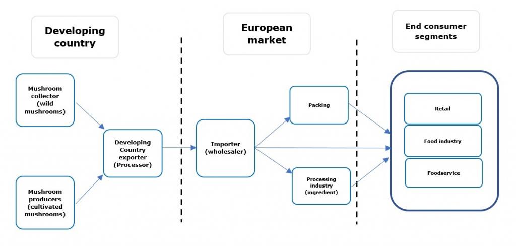 European market channels for dried mushrooms