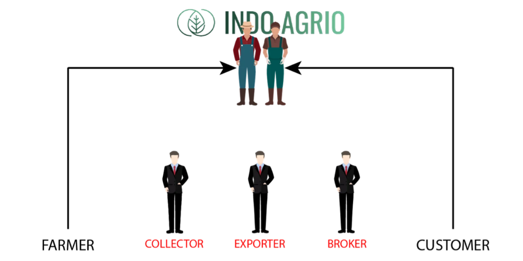 Indo Agrio’s trade model