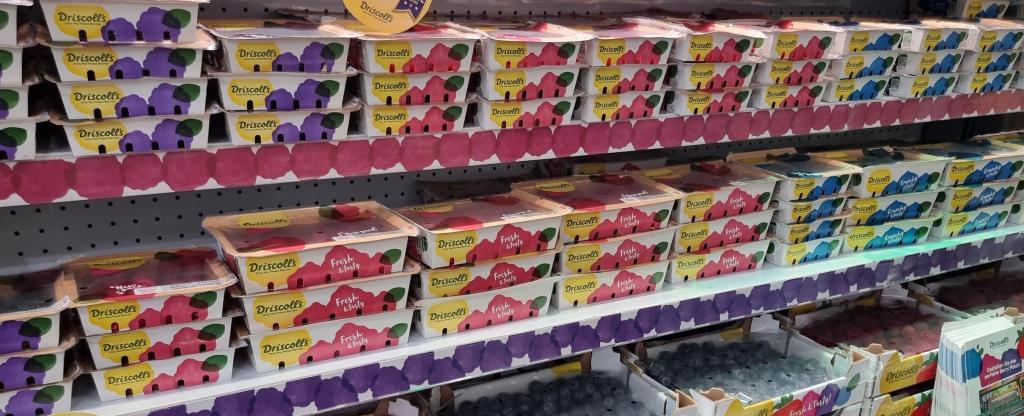 Figure 7: Driscoll’s snack berries displayed at Fruitlogistica, 2025