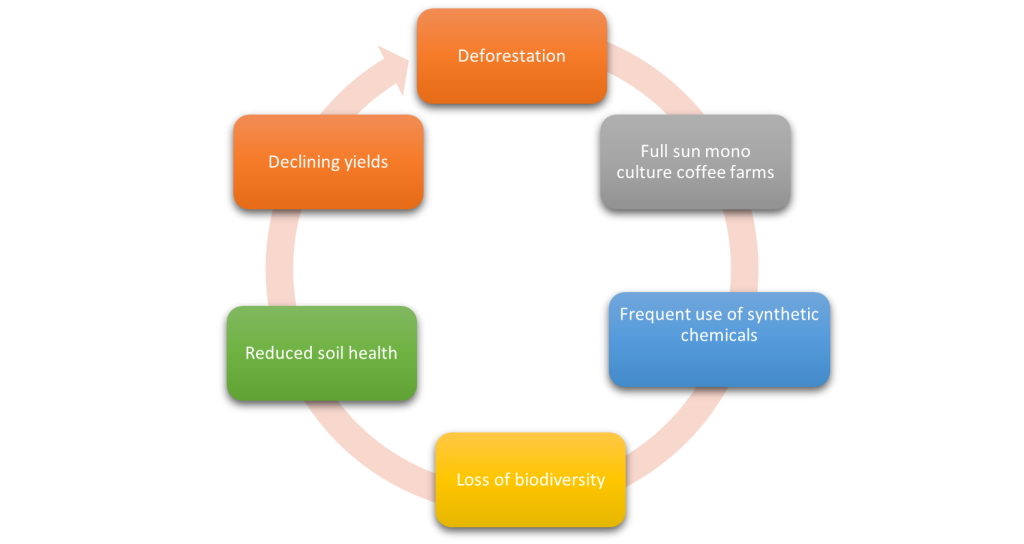 Figure 2: Cycle of deforestation