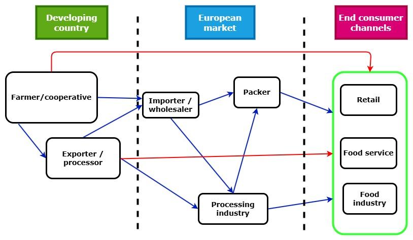 Figure 5: European market channels for coconut milk