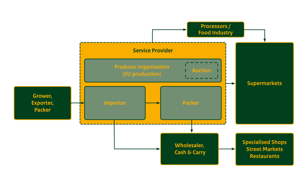 Figure 6: Dutch market channels for fresh fruit and vegetables