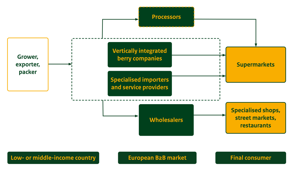 Figure 3: Distribution channels for raspberries and blackberries in the European market