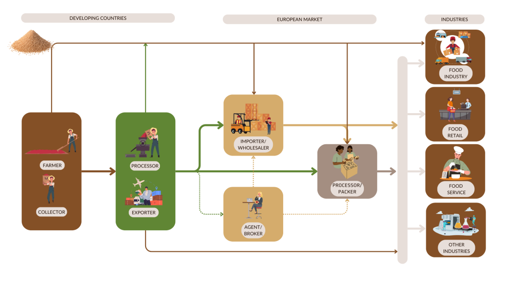 Figure 3: Market channels for dried garlic to Europe