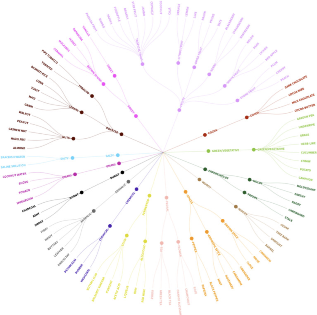 Figure 3: The Robusta Flavour Wheel