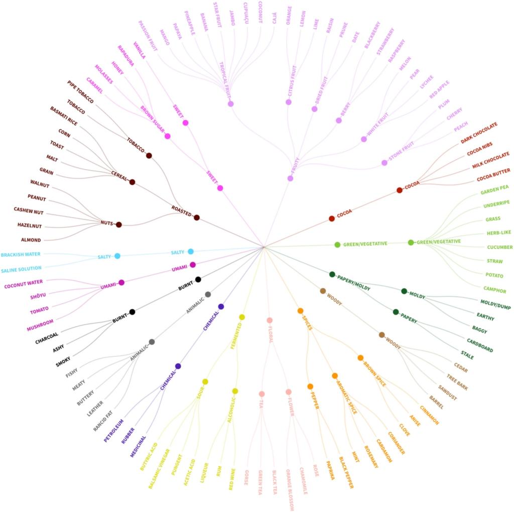 Figure 3: The Robusta Flavour Wheel