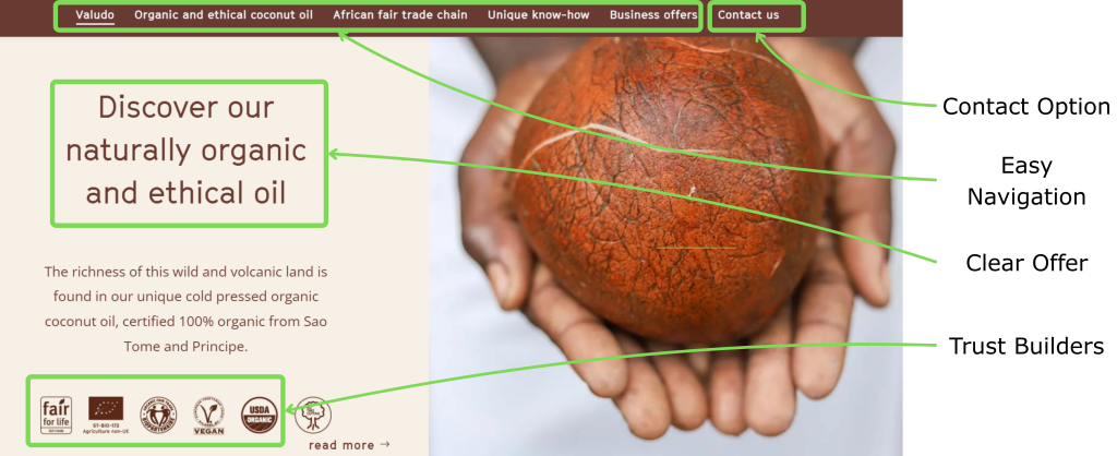 Example of a professional website