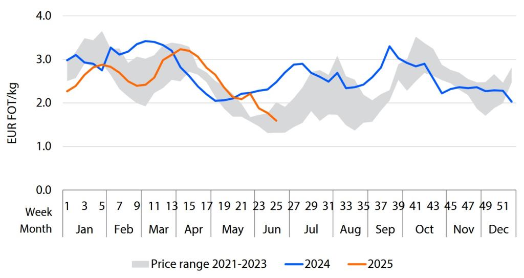 Figure 12 - Average wholesale prices for Hass avocados in the Rotterdam market, 2021-June 2025
