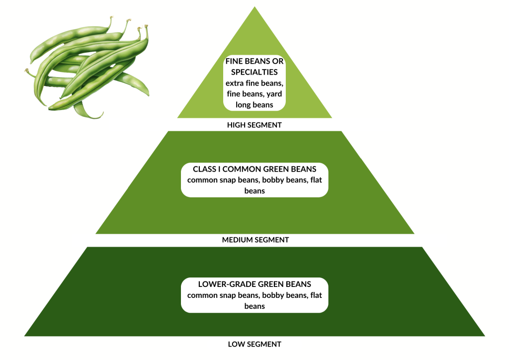 Figure 2 - Market segments for green beans in Europe