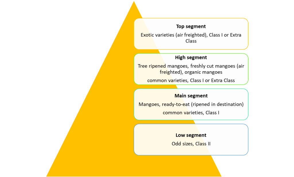 Figure 2 - Market segments for mangoes in Europe