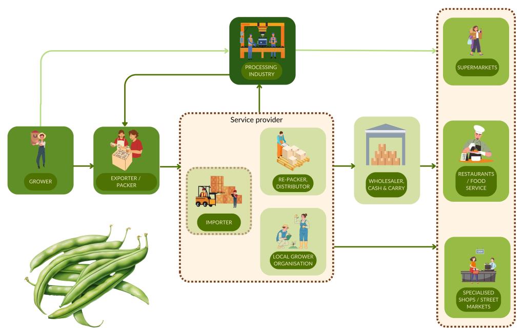 Figure 3 - European market channels for green beans
