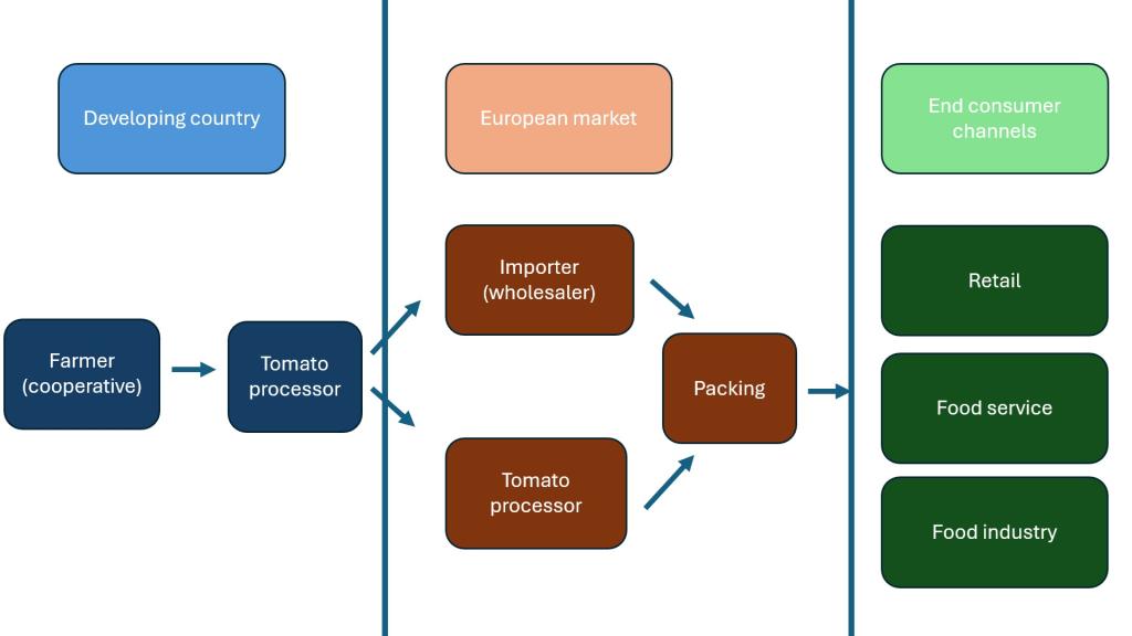 Figure 3: European market channels for tomato purée and paste
