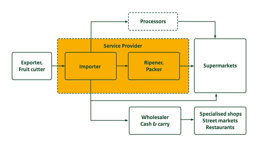 Figure 3 - Market channels for mangoes