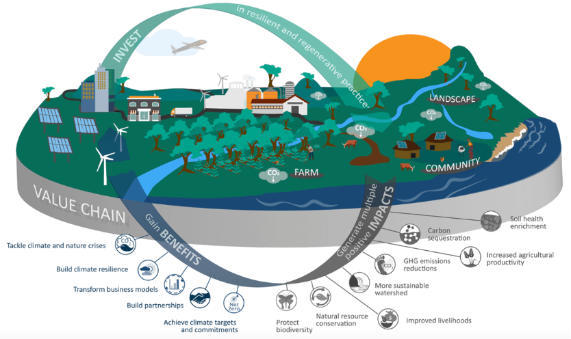 Figure 5 - What is an insetting programme
