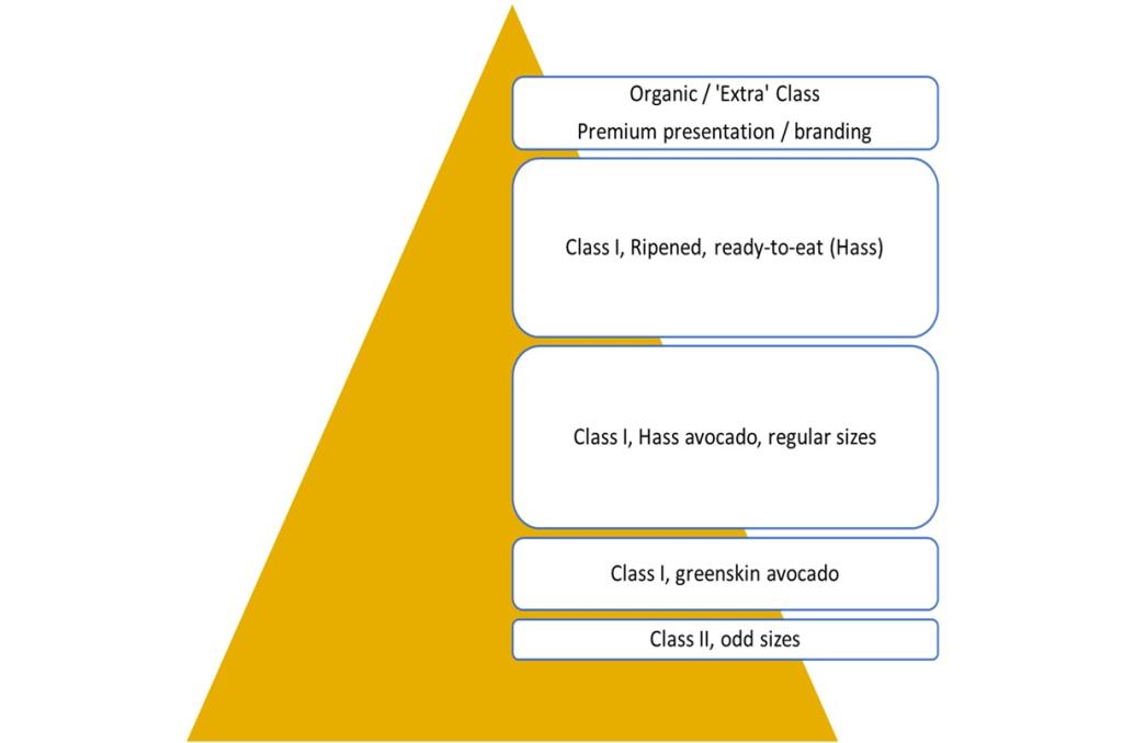 Figure 7 - Market segments for avocados in Europe