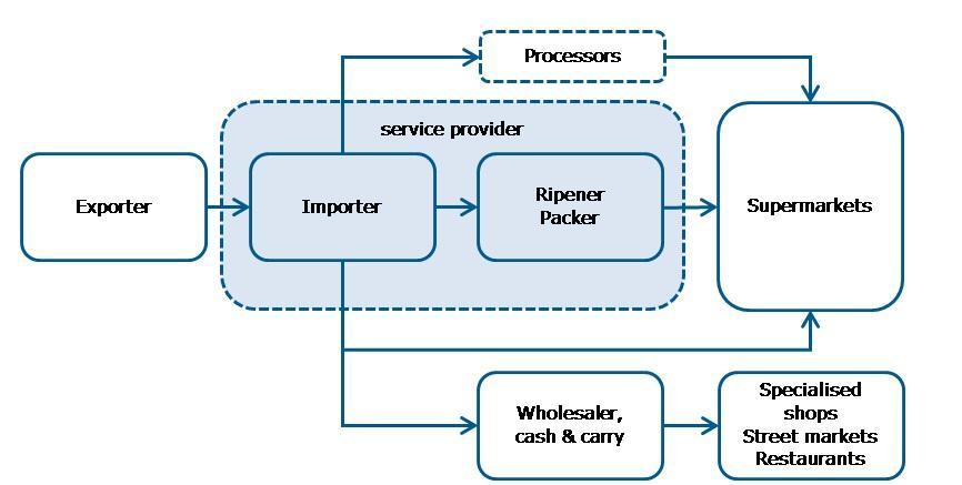 Figure 8 - Market channels for avocados