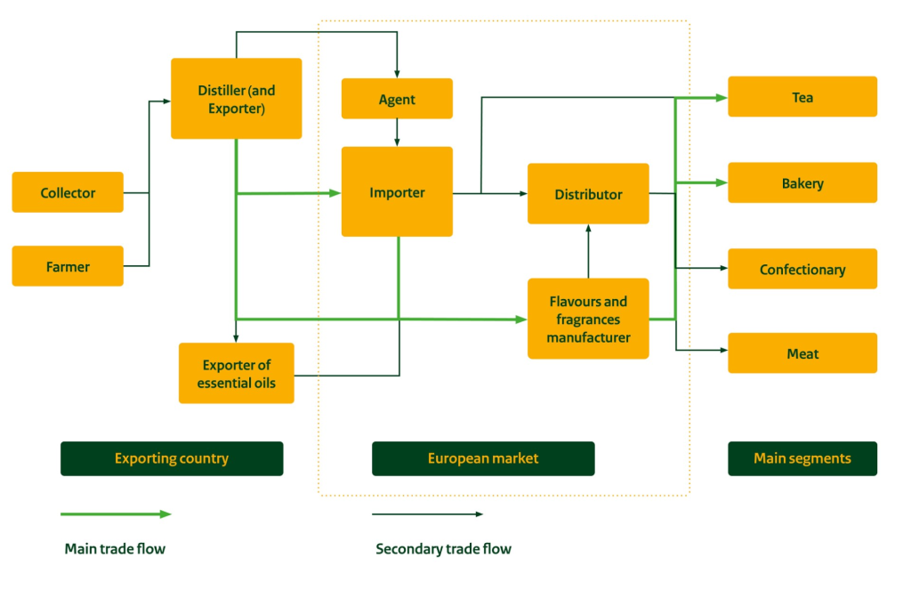 Simplified schematic of market entry channels for essential oils