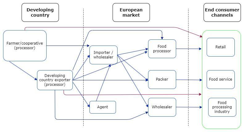 Figure 3 - European market channels for dried mango