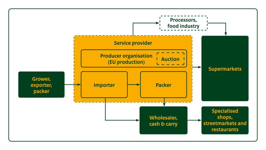 Figure 4 - European market channels for fresh strawberries