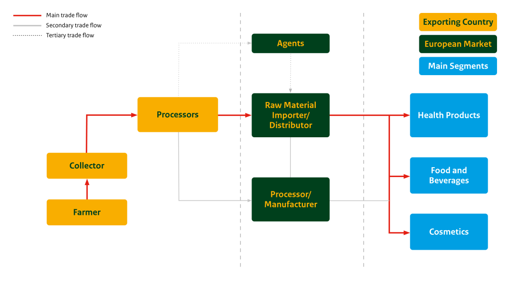 Figure 5 - Export value chain of avocado oil