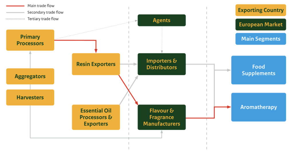 Figure 8: Typical value chain for frankincense resin and essential oil from production to market