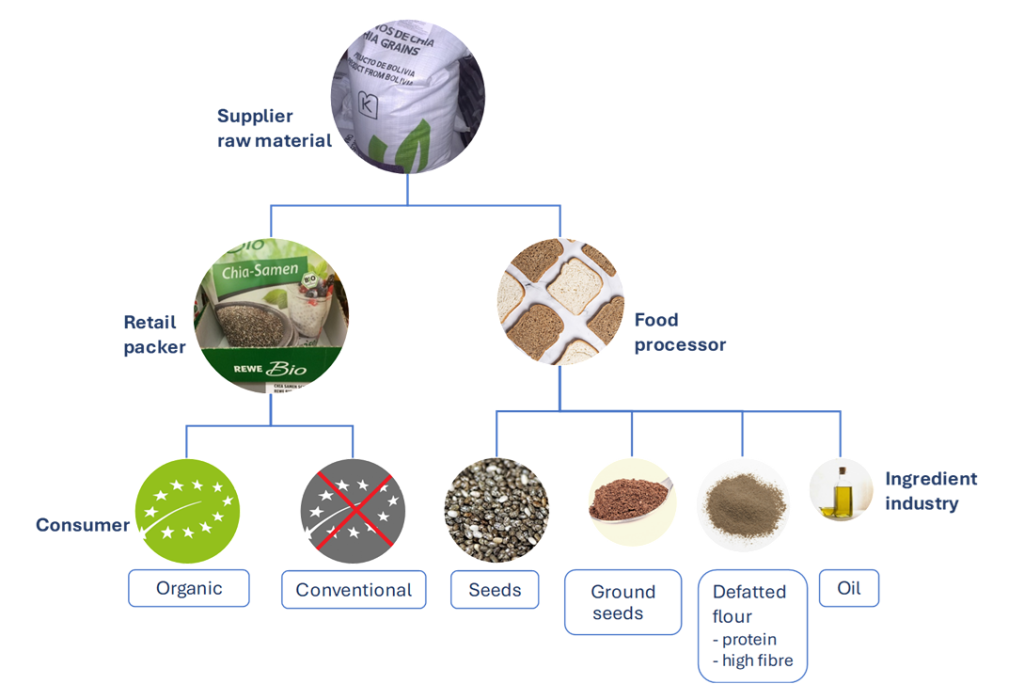 Figure 2 - Market segments for chia seeds in Europe