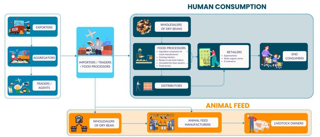Figure 6 - European market channels for dry beans