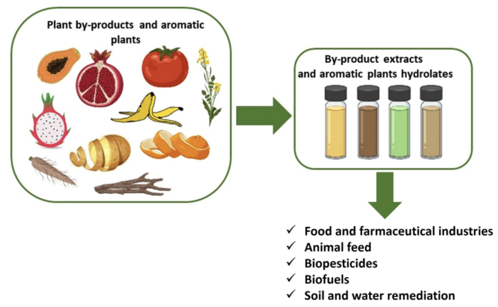 Figure 6 - Residual biomass (waste) resulting from the agrifood systems can be used in various ways