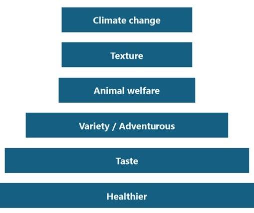 Figure 9 - Key motivations to consume plant-based chocolate confectionery